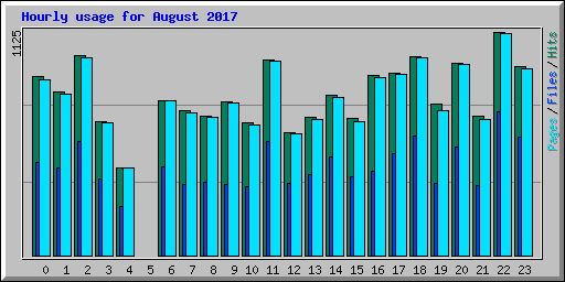 Hourly usage for August 2017