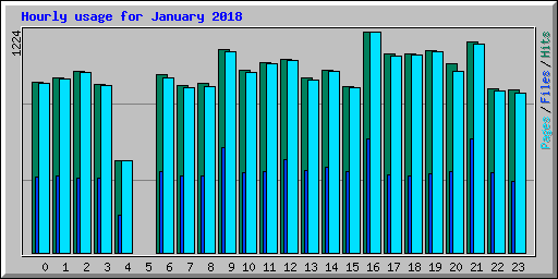 Hourly usage for January 2018